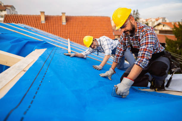 Best Storm Damage Roof Repair  in Lisle, IL