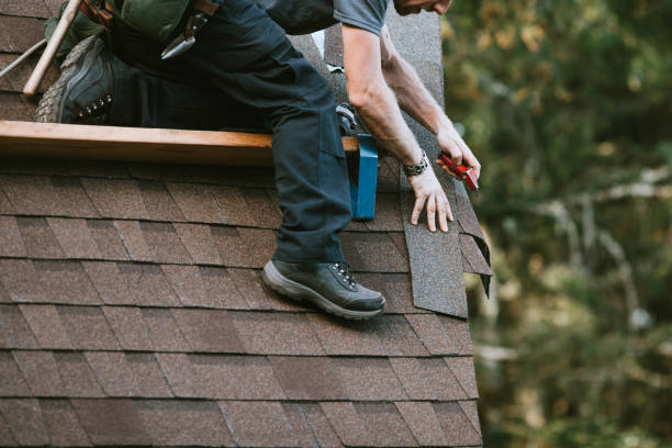 Best Roof Repair Services  in Lisle, IL