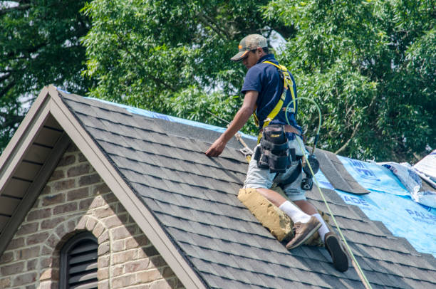 Best Residential Roofing Contractor  in Lisle, IL